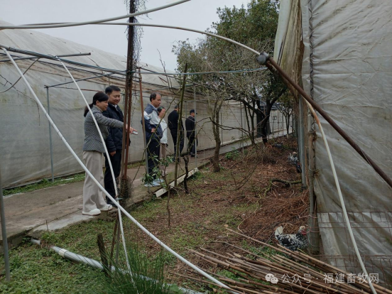 17104682551392.png 640.png